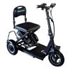 Scooter Electrico Especial Triolete Lateral